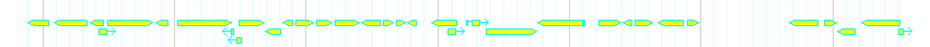 Genes detail