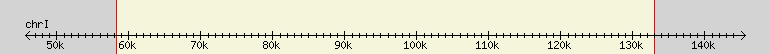 __scale__ region