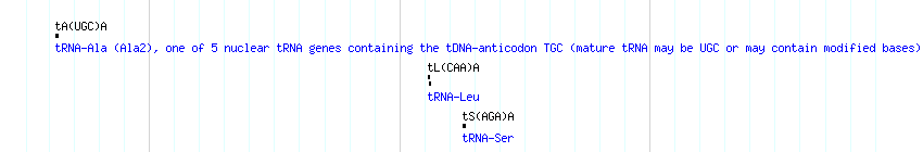 tRNAs detail