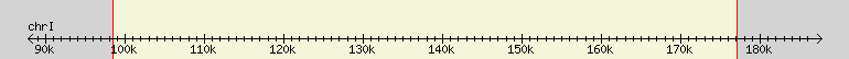 __scale__ region