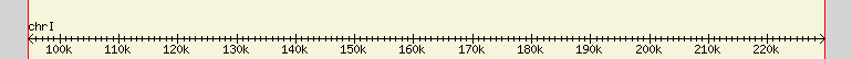__scale__ region