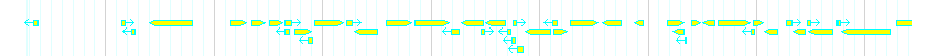 Genes detail