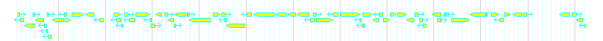 Genes detail