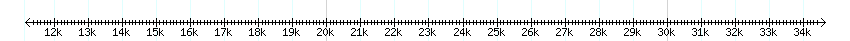 __scale__ detail