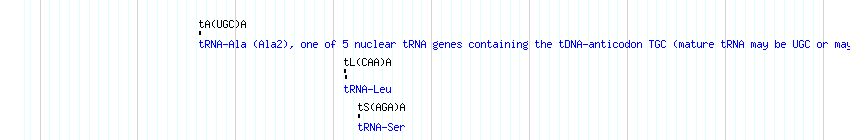 tRNAs detail