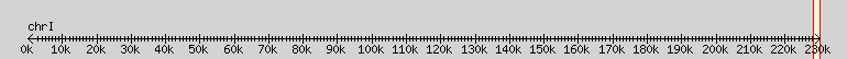 __scale__ overview