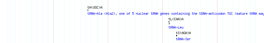 tRNAs detail