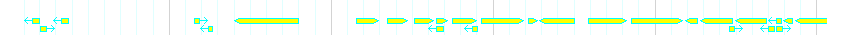 Genes detail
