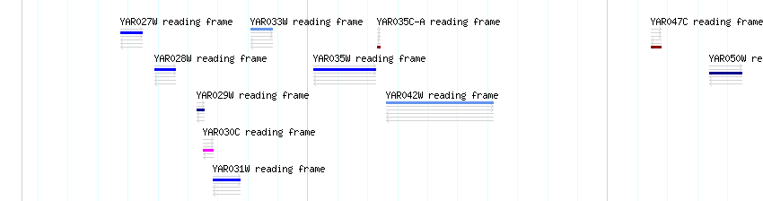 CDS detail