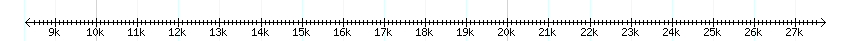 __scale__ detail