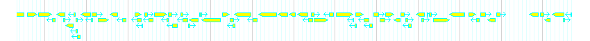 Genes detail