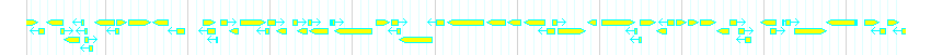 Genes detail