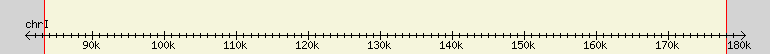 __scale__ region