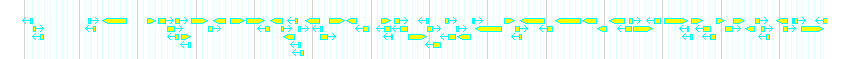 Genes detail