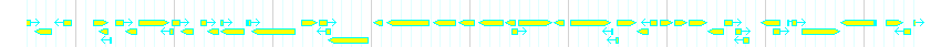 Genes detail