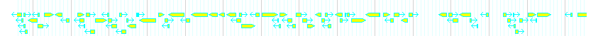Genes detail