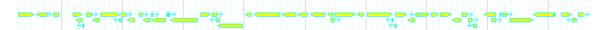 Genes detail