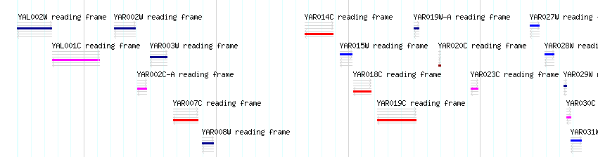 CDS detail