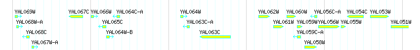 Genes detail