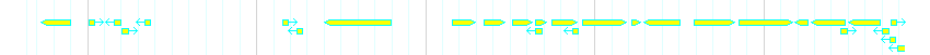 Genes detail