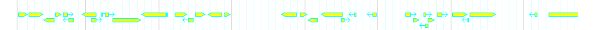 Genes detail