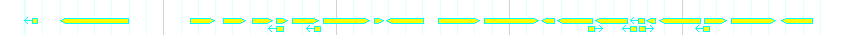 Genes detail