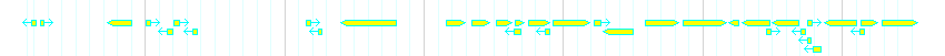 Genes detail