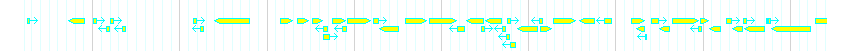 Genes detail