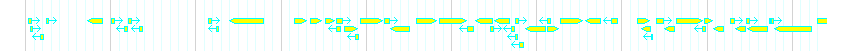 Genes detail
