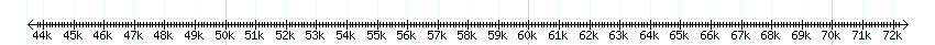 __scale__ detail
