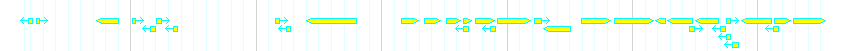 Genes detail
