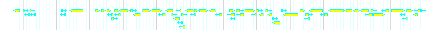 Genes detail