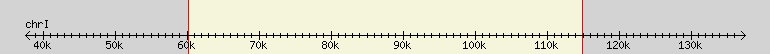 __scale__ region