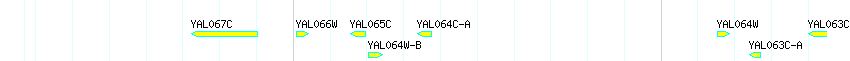 Genes detail