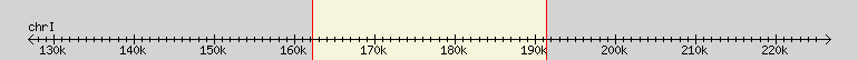 __scale__ region