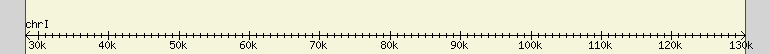 __scale__ region
