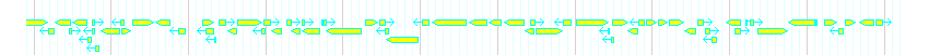 Genes detail