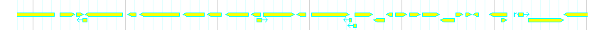 Genes detail