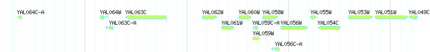 Genes detail