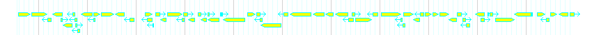 Genes detail