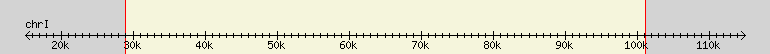 __scale__ region