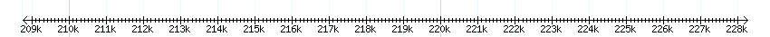 __scale__ detail