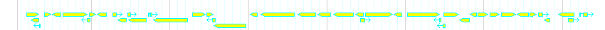 Genes detail