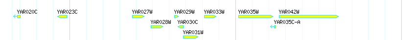 Genes detail