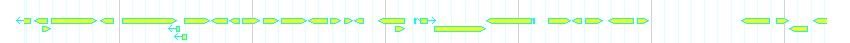 Genes detail