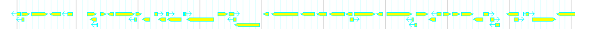 Genes detail