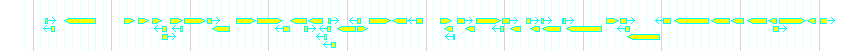 Genes detail