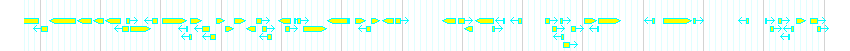 Genes detail