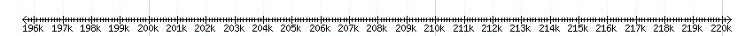 __scale__ detail