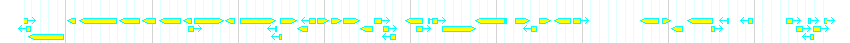 Genes detail